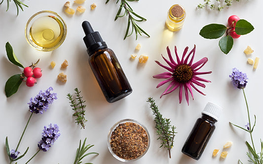 Aromatic Guardians: Essential Oils Unveiled as Nature's Defense Against Garden and Home Pests