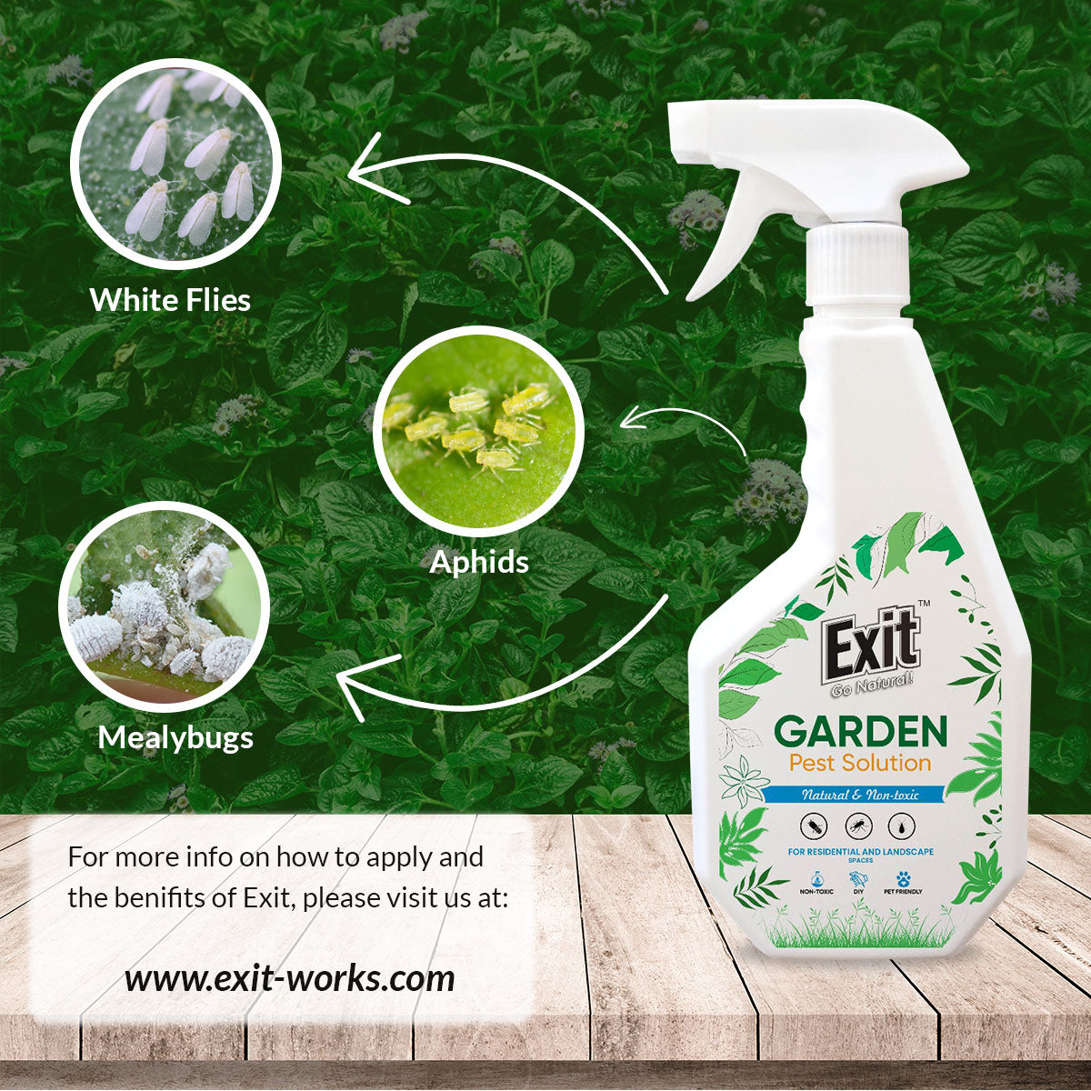 Garden Pest Solution 500ml