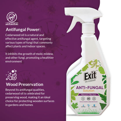 Anti-fungal Solution 500ml